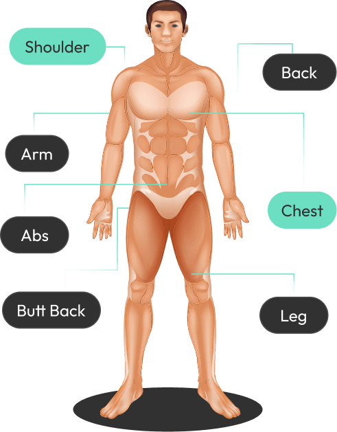 body